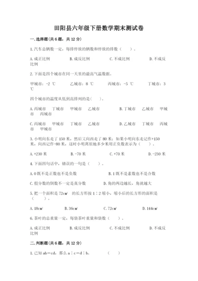 田阳县六年级下册数学期末测试卷及精品答案.docx