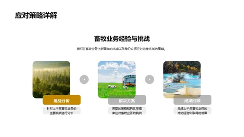 畜牧业务盘点