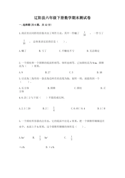 辽阳县六年级下册数学期末测试卷完美版.docx
