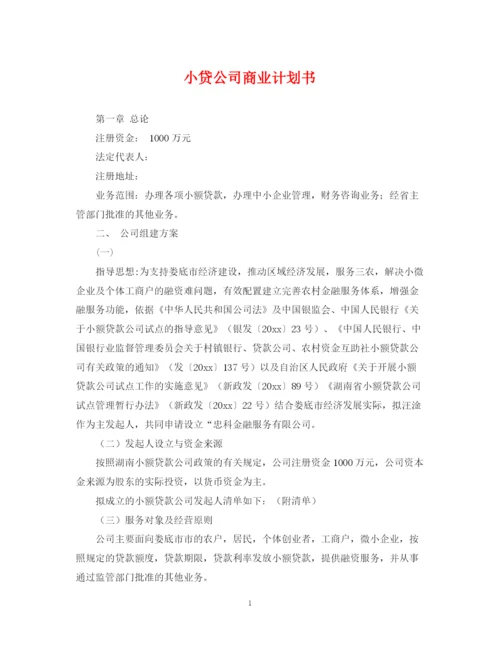 精编之小贷公司商业计划书.docx