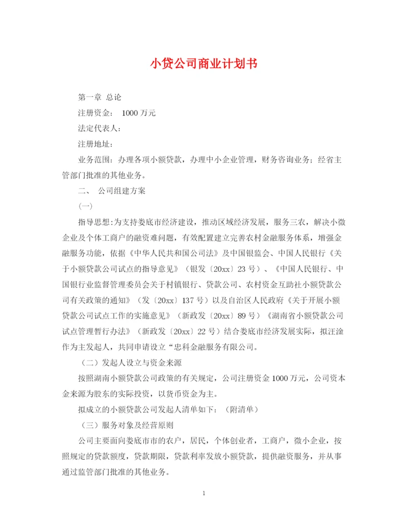 精编之小贷公司商业计划书.docx