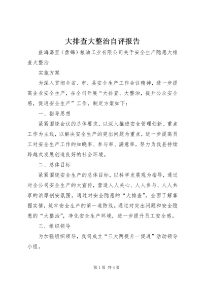 大排查大整治自评报告 (2).docx