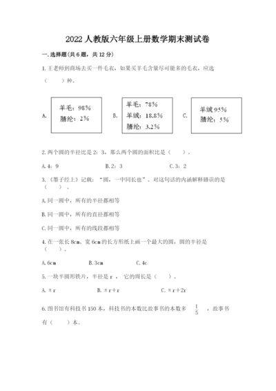 2022人教版六年级上册数学期末测试卷含完整答案【典优】.docx