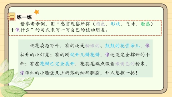 统编版语文三年级下册2024-2025学年度第一单元习作：我的植物朋友（课件）