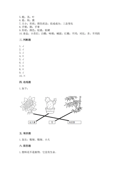 教科版一年级上册科学期末测试卷含精品答案.docx