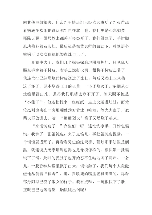 关于野炊的作文.docx