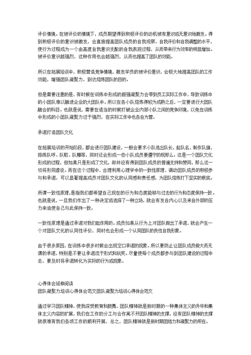 团队凝聚力培训学习心得体会范文