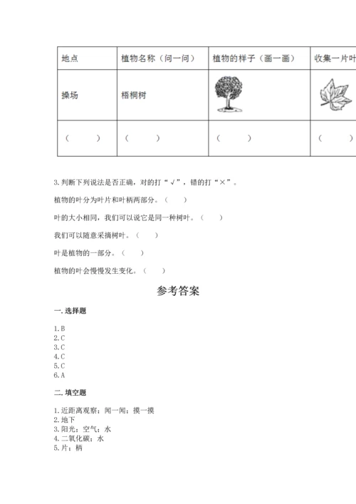 教科版科学一年级上册第一单元《植物》测试卷附参考答案【精练】.docx