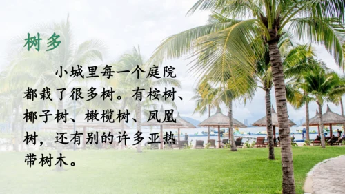 19.《海滨小城》课件
