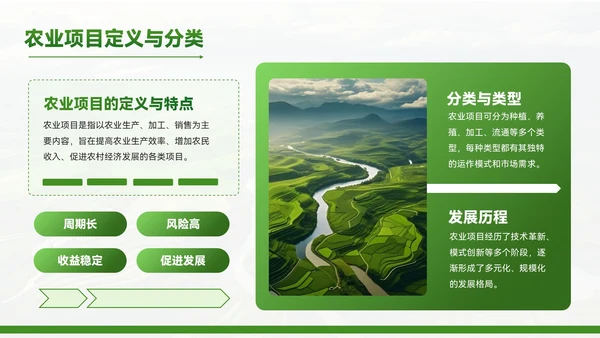 绿色质感风农业项目赋能乡村振兴PPT模板