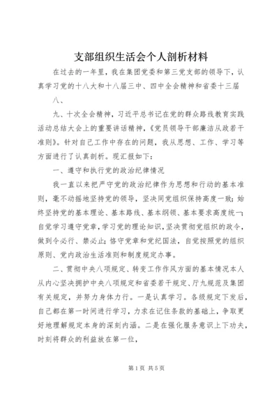 支部组织生活会个人剖析材料 (4).docx