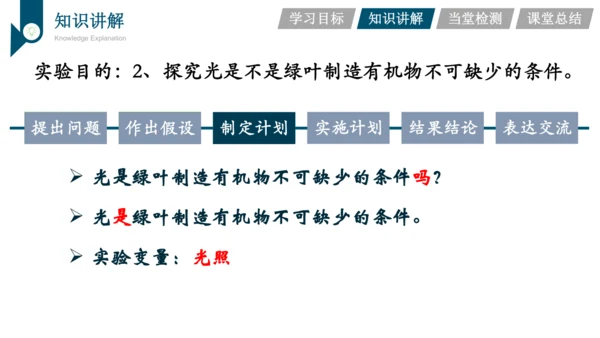 3.3.4  绿色植物是生物圈中有机物的制造者  课件-2023-2024学年人教版生物七年级上册(