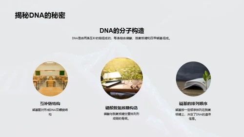 揭秘DNA：生命之源