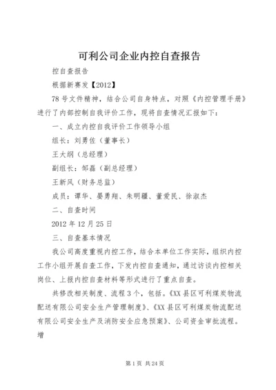 可利公司企业内控自查报告.docx
