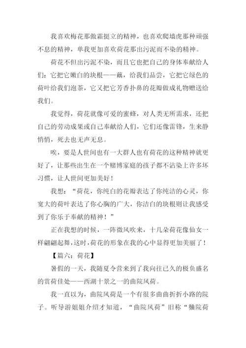 写荷花的作文600字.docx