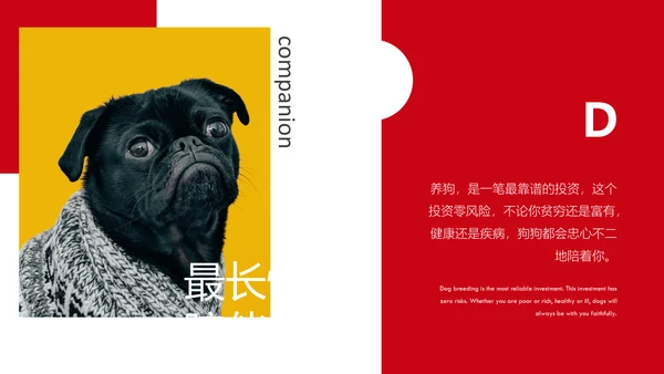 丑萌的小狗狗宠物通用PPT模板