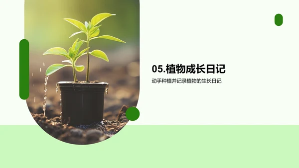 植物成长之旅