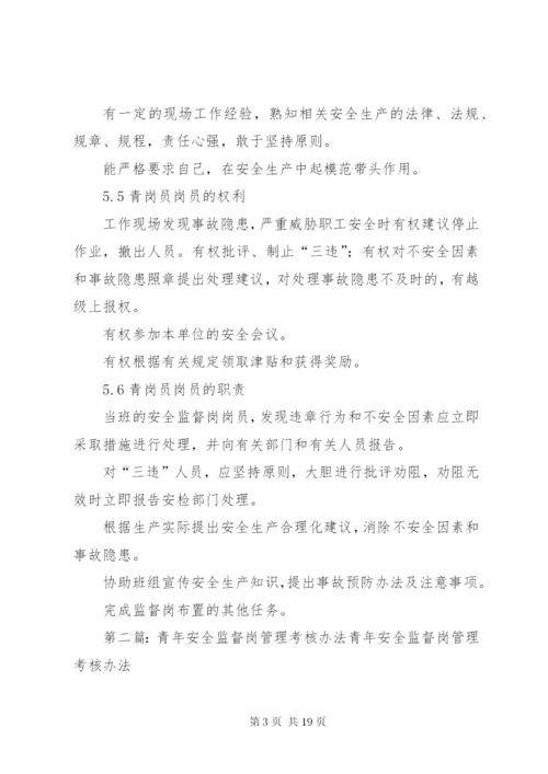 青年安全监督岗人员管理办法标准.docx