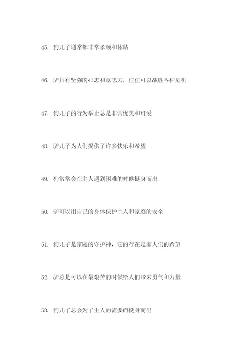 驴和狗的好词好句