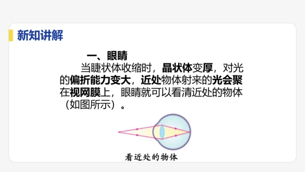 5.4  眼睛与眼镜  课件