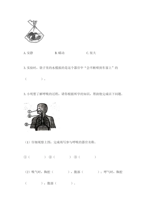 教科版四年级上册科学期末测试卷带答案（实用）.docx