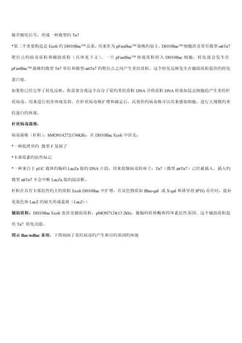 Bactobac表达系统中文版专项说明书.docx