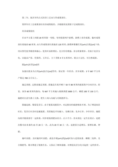 葡萄各阶段管理技术.docx