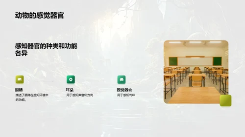 探秘动物世界