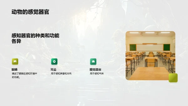 探秘动物世界