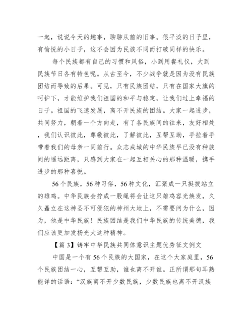 铸牢中华民族共同体意识主题优秀征文例文集合3篇.docx