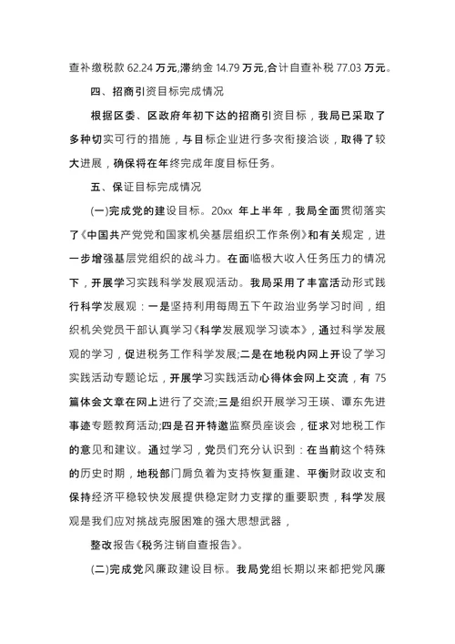 税务注销自查报告