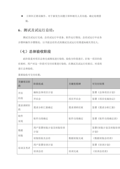 软件实施专项方案总结.docx