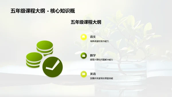 五年级学生成长之旅