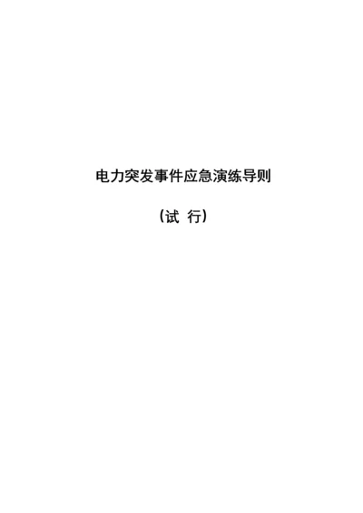 电力突发事件应急演练导则(试行).docx