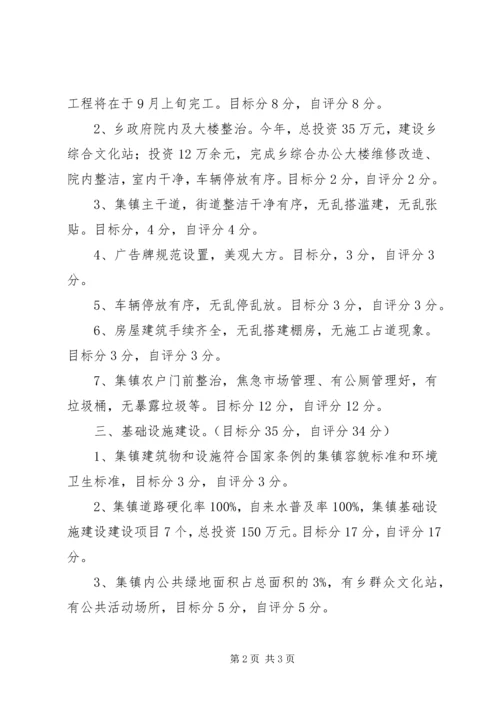 乡集镇建设自评报告范文.docx