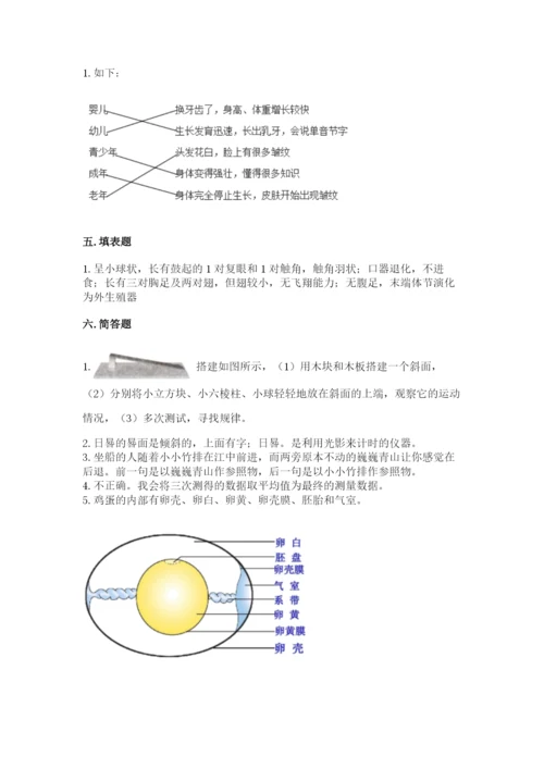 教科版小学科学三年级下册 期末测试卷最新.docx