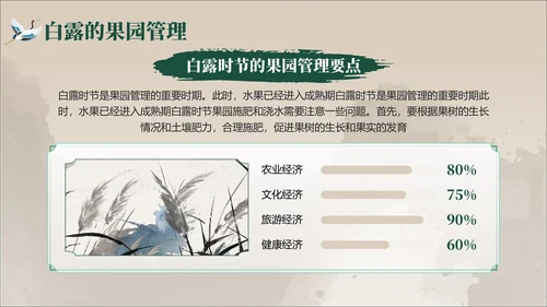 褐绿色中国风白露节气学校主题班会PPT模板