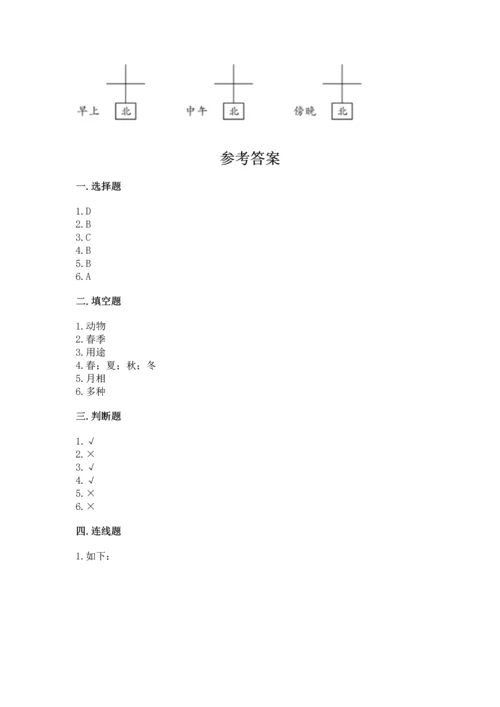 教科版二年级上册科学期末测试卷精品【能力提升】.docx