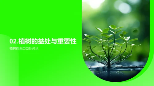 植树节：绿化生活