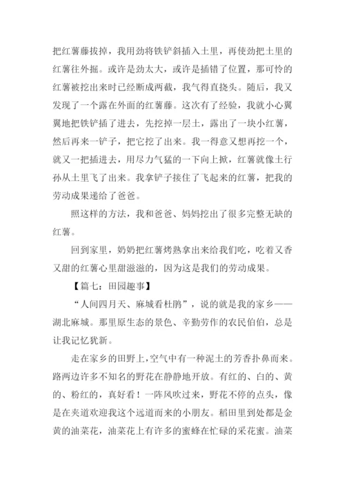 田园趣事作文.docx