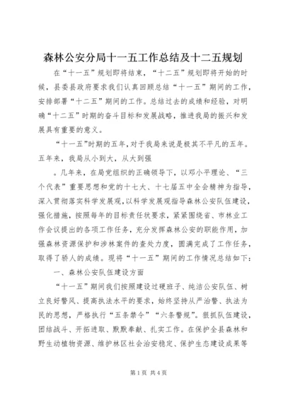 森林公安分局十一五工作总结及十二五规划 (2).docx