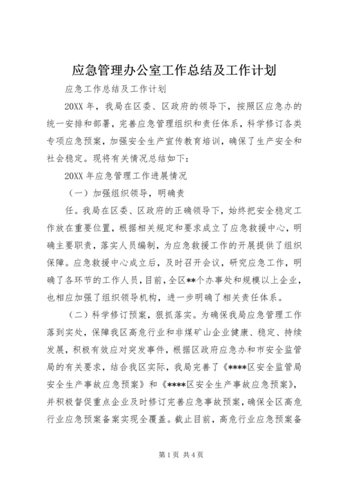 应急管理办公室工作总结及工作计划 (5).docx