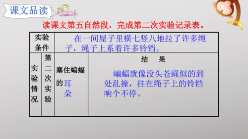 6 夜间飞行的秘密   课件