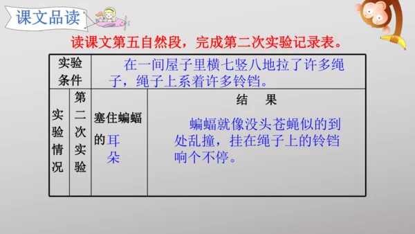 6 夜间飞行的秘密   课件