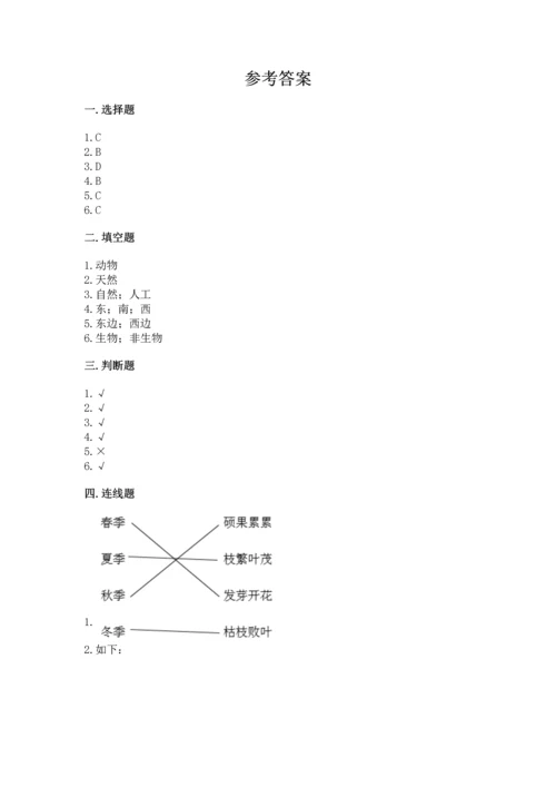 教科版二年级上册科学期末测试卷全面.docx