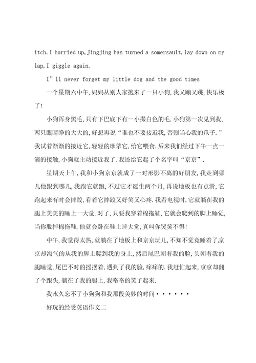 高中关于有趣的经历英语作文