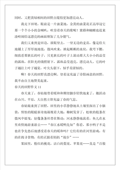 春天的田野作文12篇