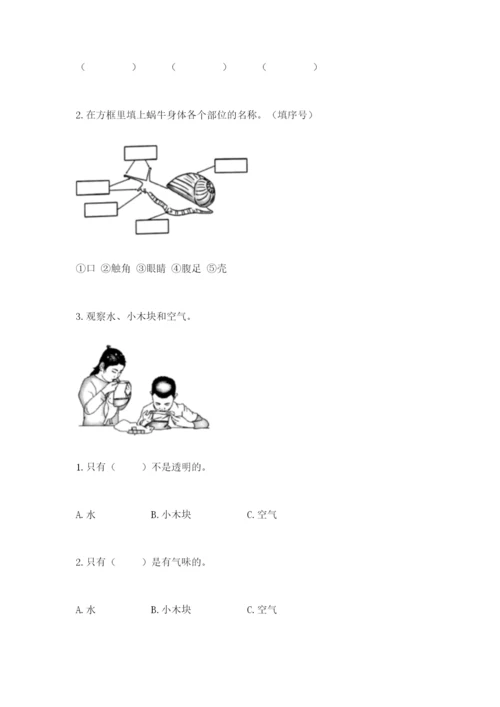 教科版一年级下册科学期末测试卷带答案（夺分金卷）.docx