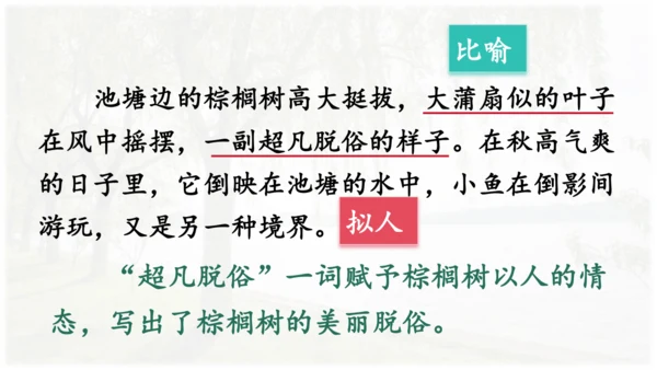 第22课 《读不完的大书》 课件