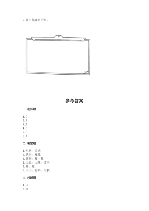 教科版小学科学一年级下册期末测试卷【夺冠系列】.docx